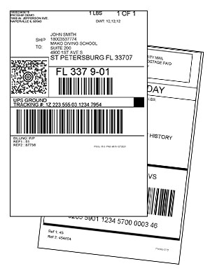 The Finer Points of Parcel Label Sizing | ProShip, Inc.