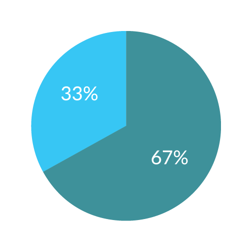 Title chart: User 73 percent, Director 22 percent, and Vice President 5 percent.