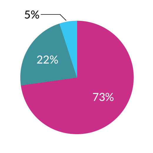 Persona chart: Logistics and Operations 67 percent, and IT 33 percent.